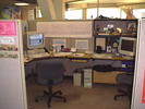p13.jpg