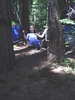 p06.jpg