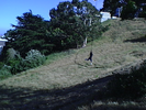 p04.jpg