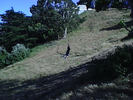 p05.jpg