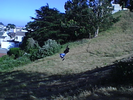 p06.jpg