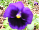p01.jpg