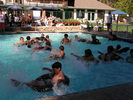 p36.jpg