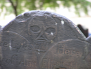 p24.jpg