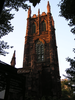 p01.jpg