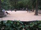 p15.jpg