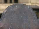 p31.jpg
