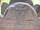 p35.jpg