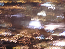 p10.jpg