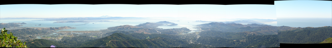 pan2.jpg