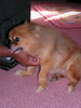 p02.jpg