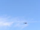 p25.jpg