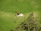 p090.jpg