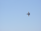 p117.jpg