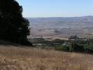 p006.jpg