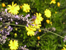 p013.jpg