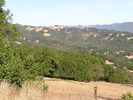 p044.jpg