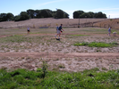 p051.jpg