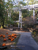 p04.jpg