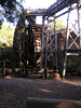 p12.jpg