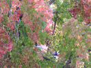 p30.jpg