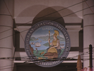 p50.jpg