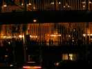 p53.jpg