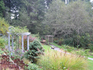 p35.jpg