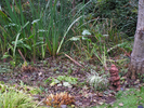 p57.jpg