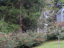 p59.jpg