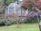 p60.jpg