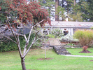p61.jpg