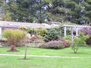 p62.jpg