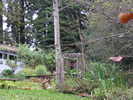 p65.jpg