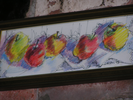 p73.jpg