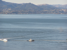 p115.jpg