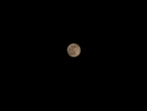 p78.jpg