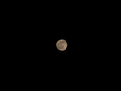 p82.jpg