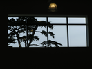 p46.jpg