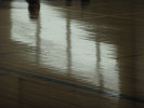 p73.jpg