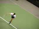 p33.jpg