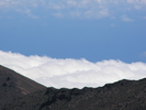 p63.jpg