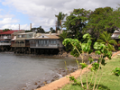p20.jpg