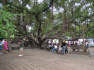 p28.jpg