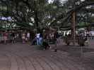 p31.jpg