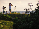 p53.jpg