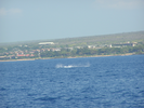 p20.jpg