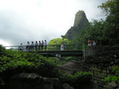 p13.jpg