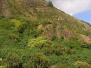 p21.jpg