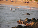 p39.jpg